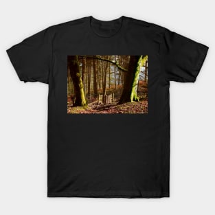 forest woodland win hill peak district in the Autumn sun light T-Shirt